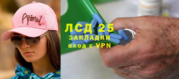 ПСИЛОЦИБИНОВЫЕ ГРИБЫ Баксан