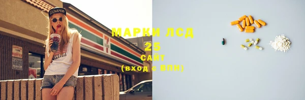 ПСИЛОЦИБИНОВЫЕ ГРИБЫ Баксан