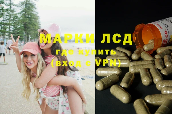 ПСИЛОЦИБИНОВЫЕ ГРИБЫ Баксан
