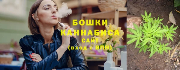 ПСИЛОЦИБИНОВЫЕ ГРИБЫ Баксан