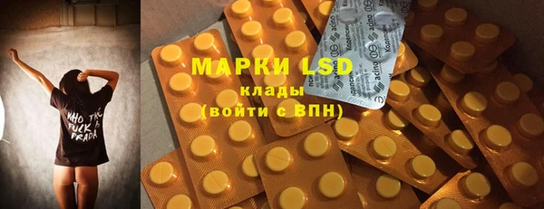 ПСИЛОЦИБИНОВЫЕ ГРИБЫ Баксан