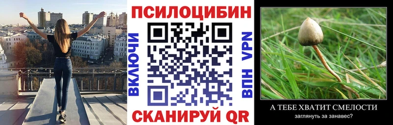 Псилоцибиновые грибы мухоморы  купить   Заречный 