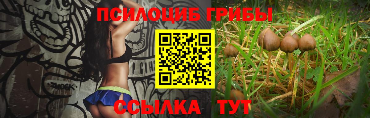Галлюциногенные грибы Psilocybe Заречный