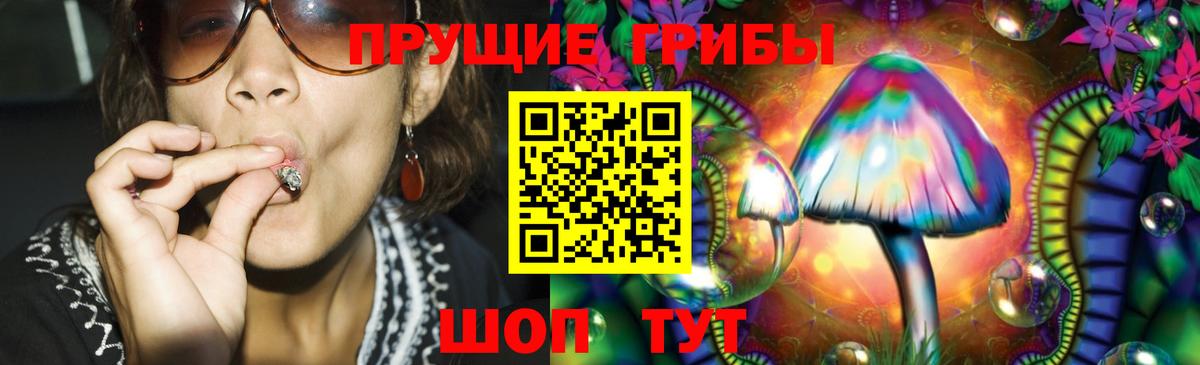 Псилоцибиновые грибы Psilocybe  Вход с VPN  Заречный  Псилоцибиновые грибы мухоморы 